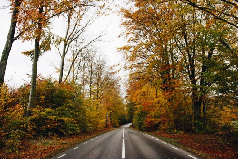From Mountains to Beaches: The Best Travel Routes Revealed